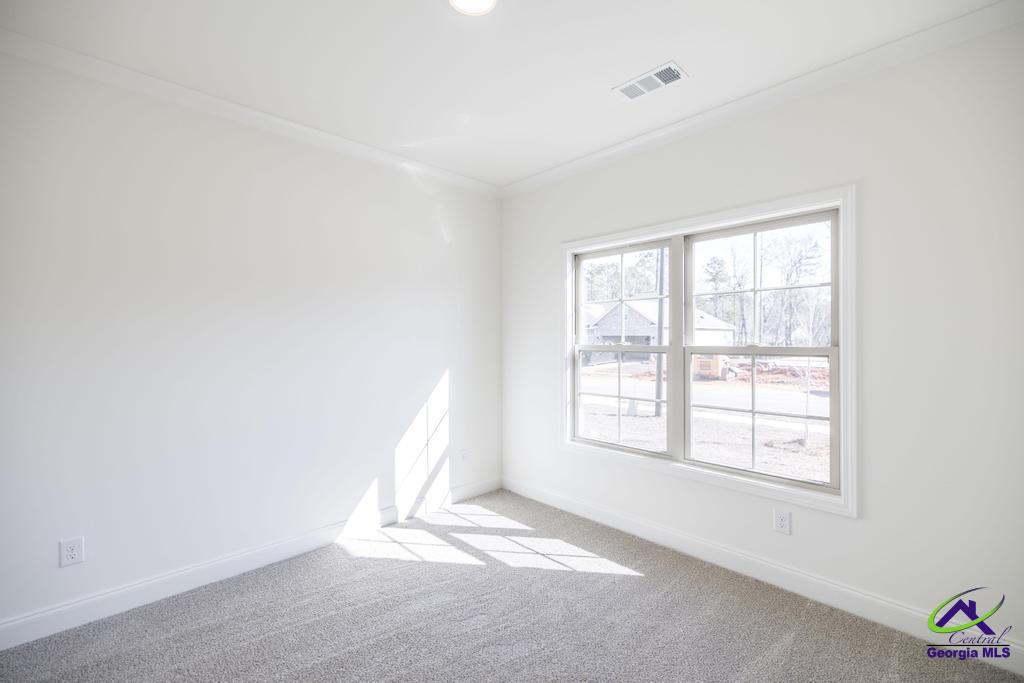 519 Bristleleaf Path