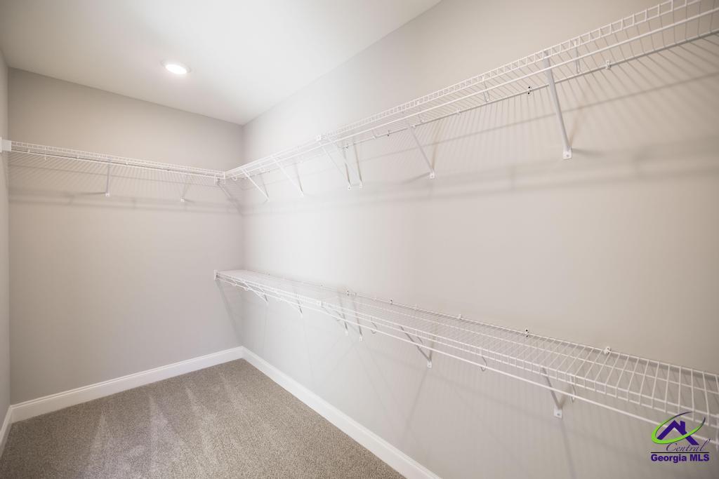 519 Bristleleaf Path