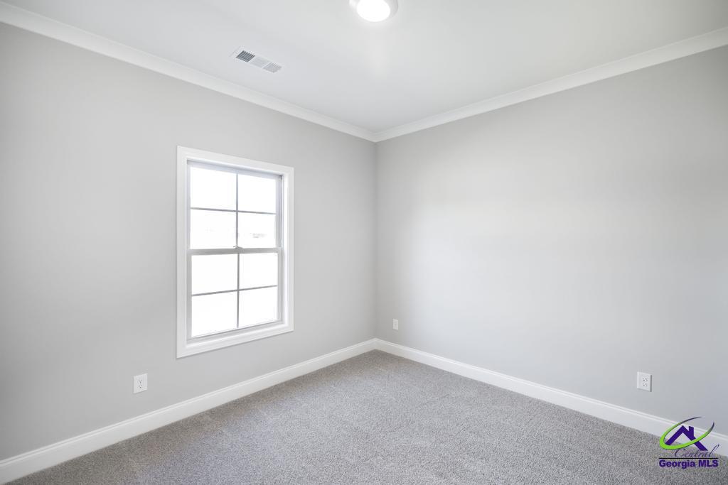 519 Bristleleaf Path