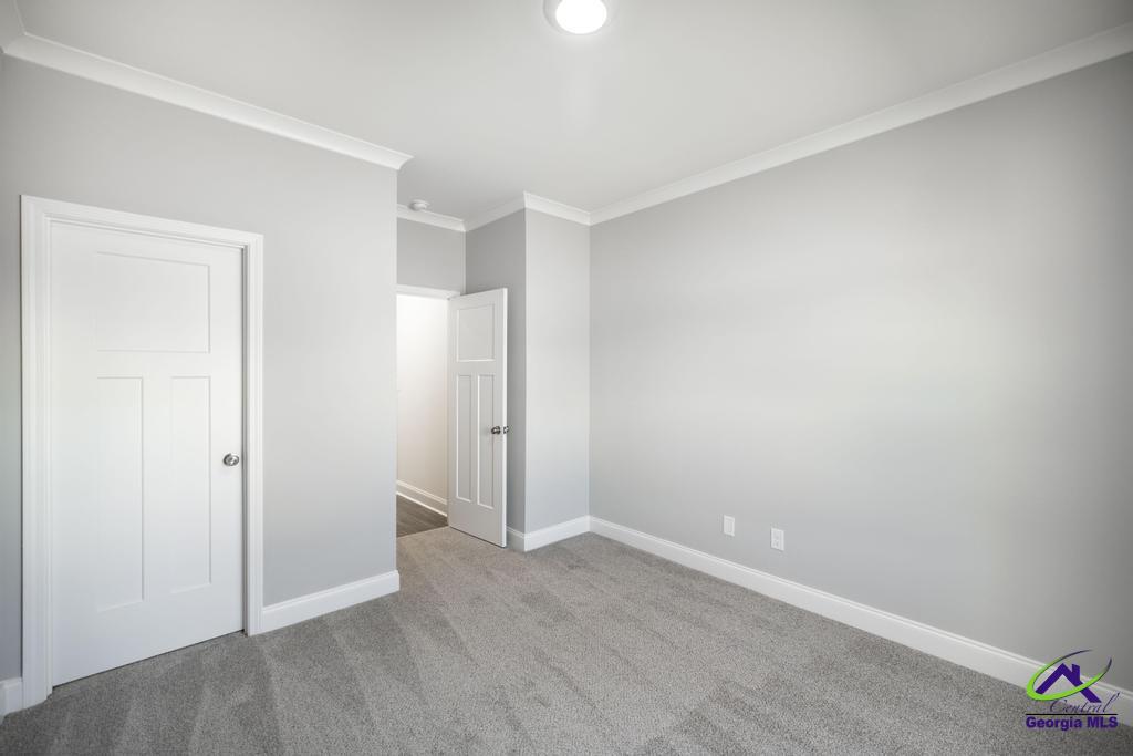 519 Bristleleaf Path