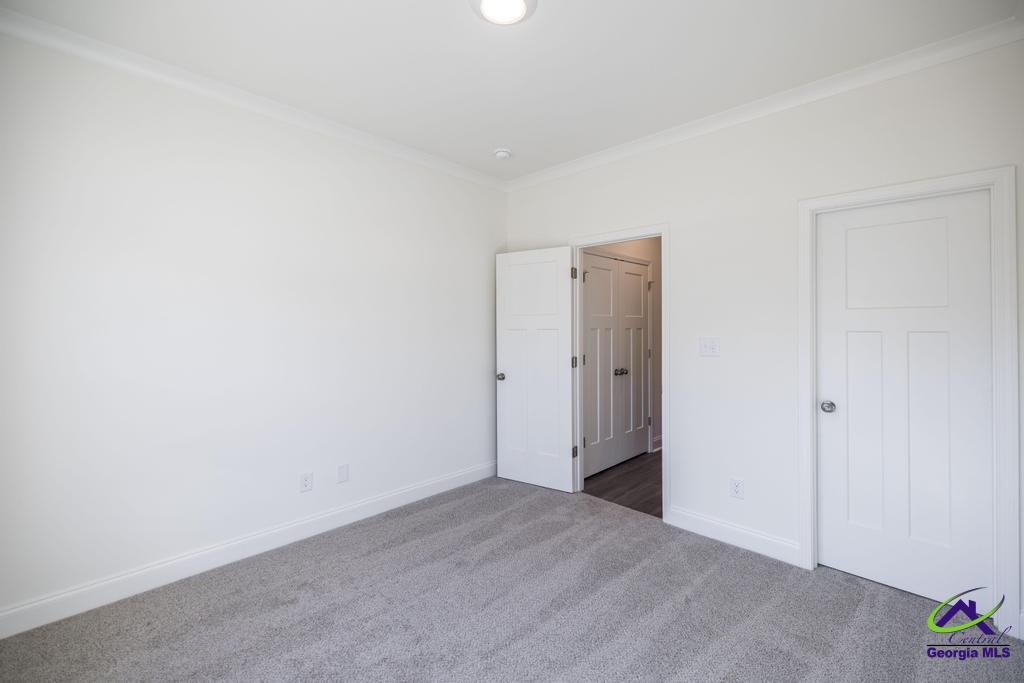 519 Bristleleaf Path