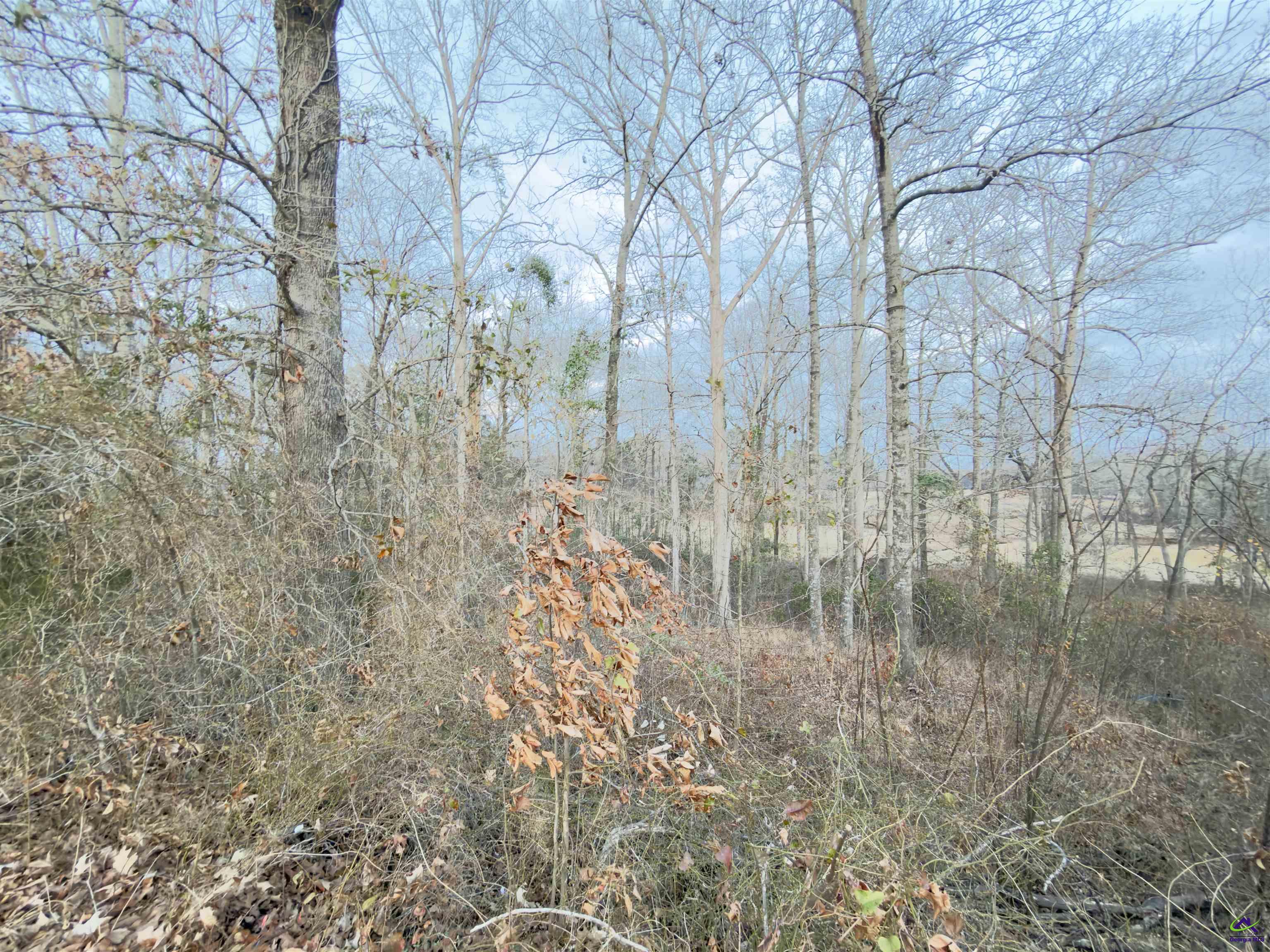 Lot 10 Oak Drive