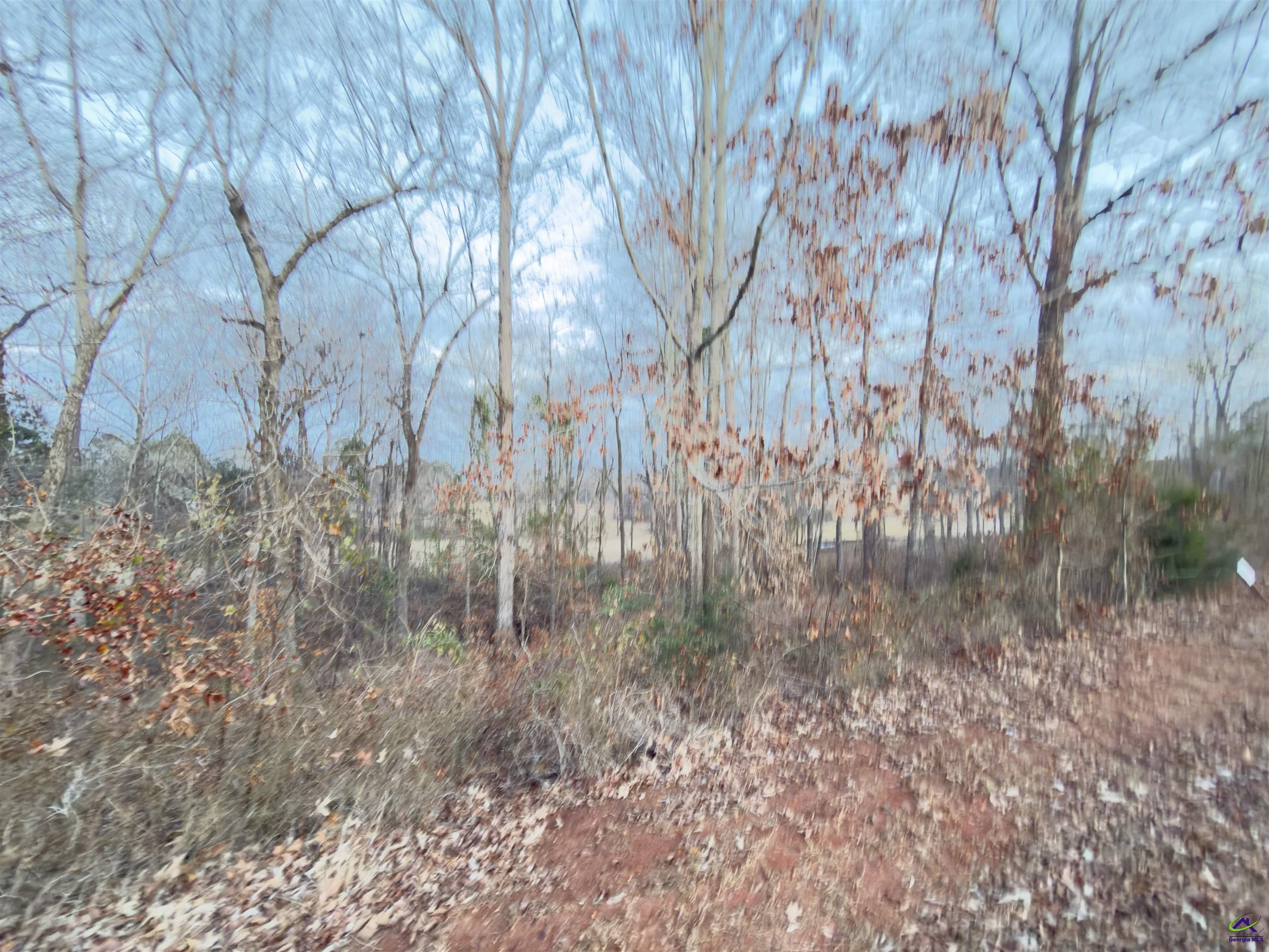 Lot 10 Oak Drive