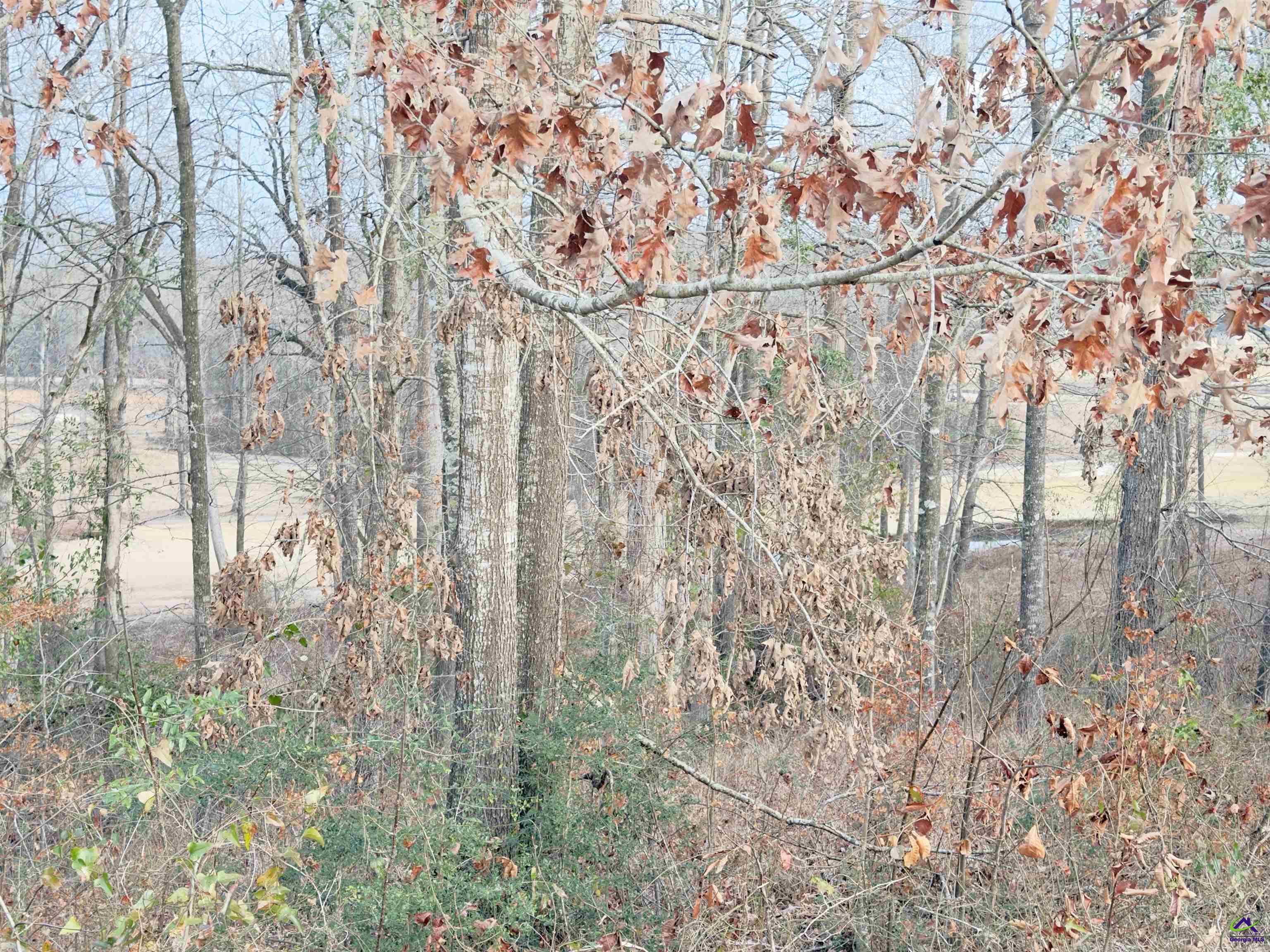 Lot 10 Oak Drive