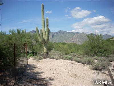 3005 E Cerrada Los Palitos