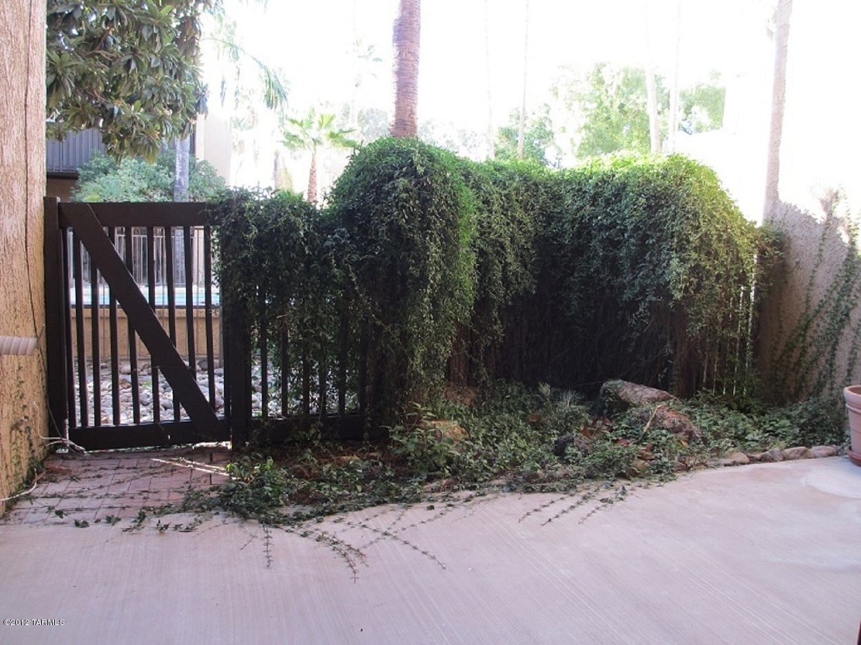 450 N Dodge Boulevard