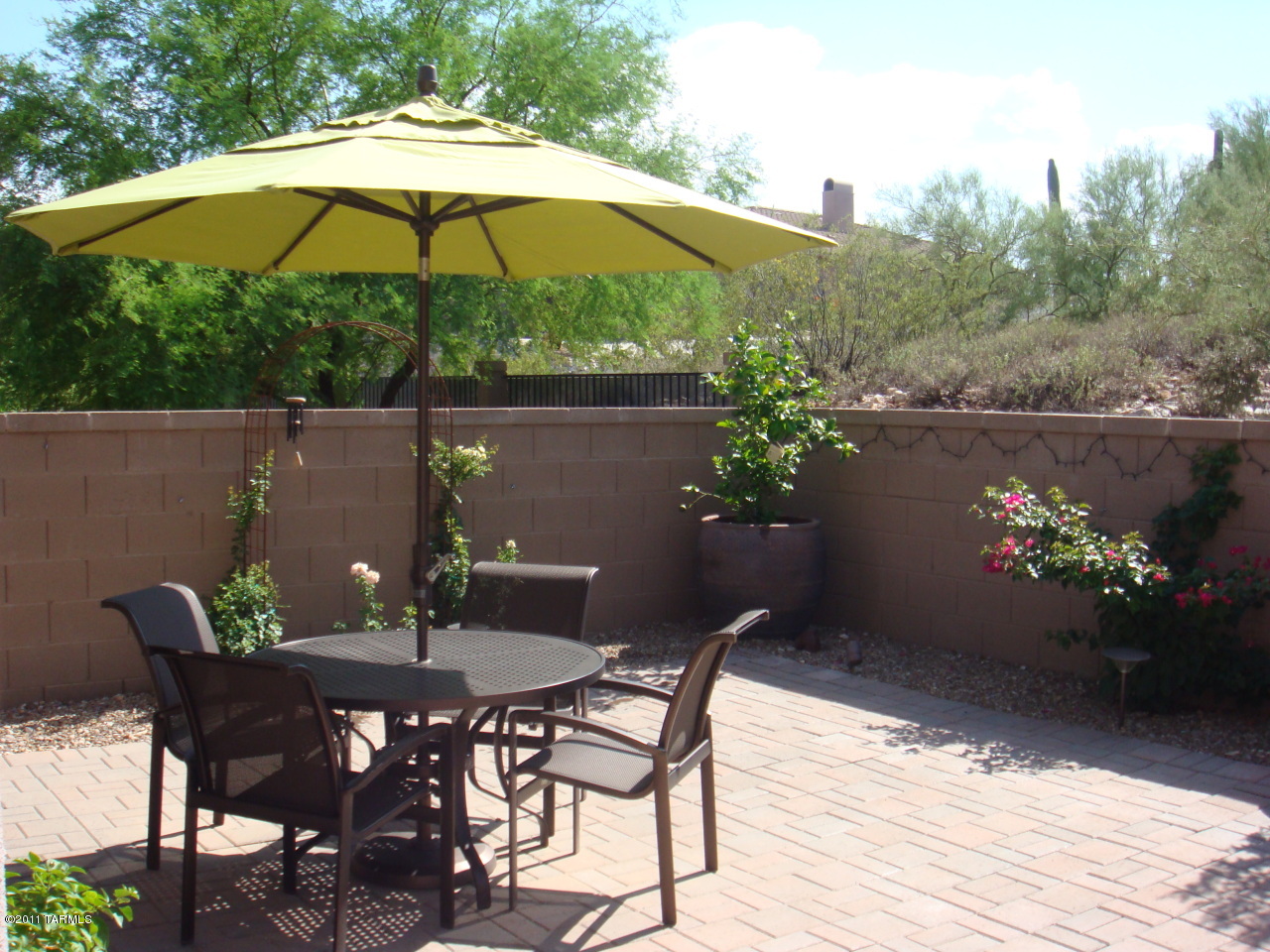 6147 N Placita Manantial La Paloma