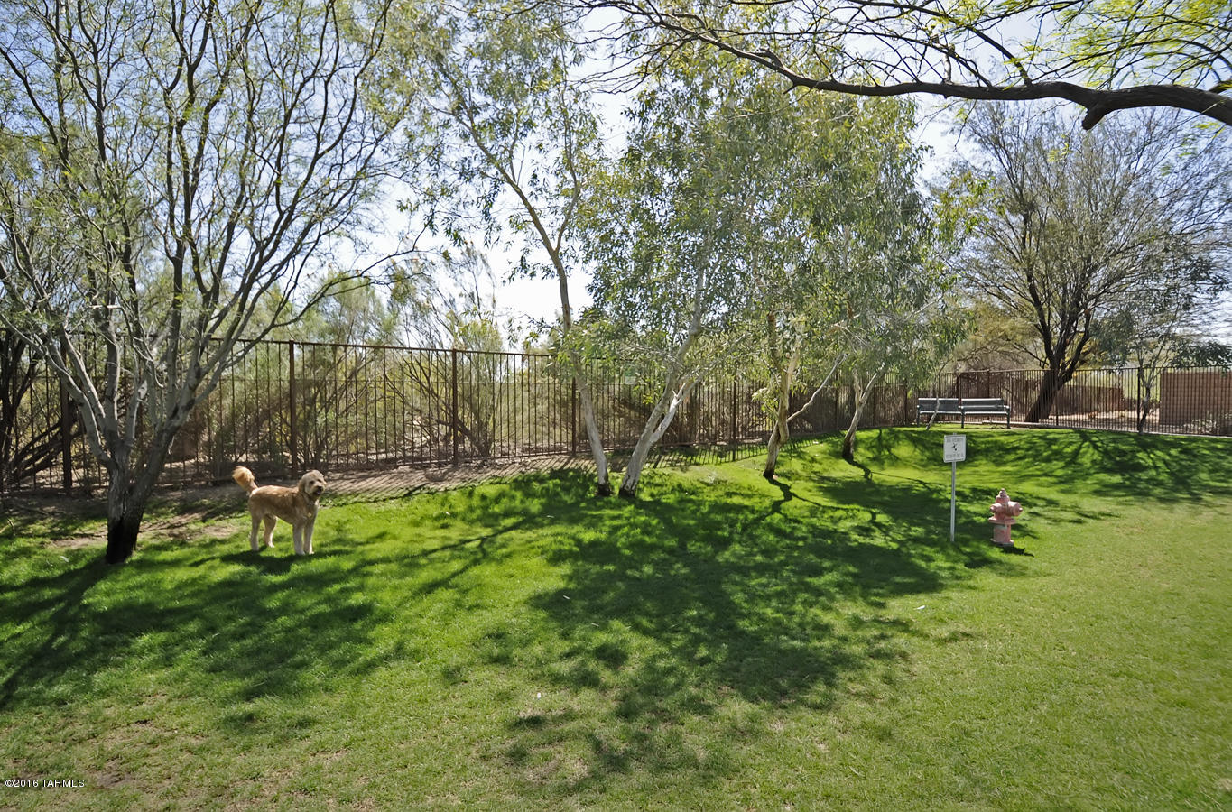 384 E Cedarvale Road