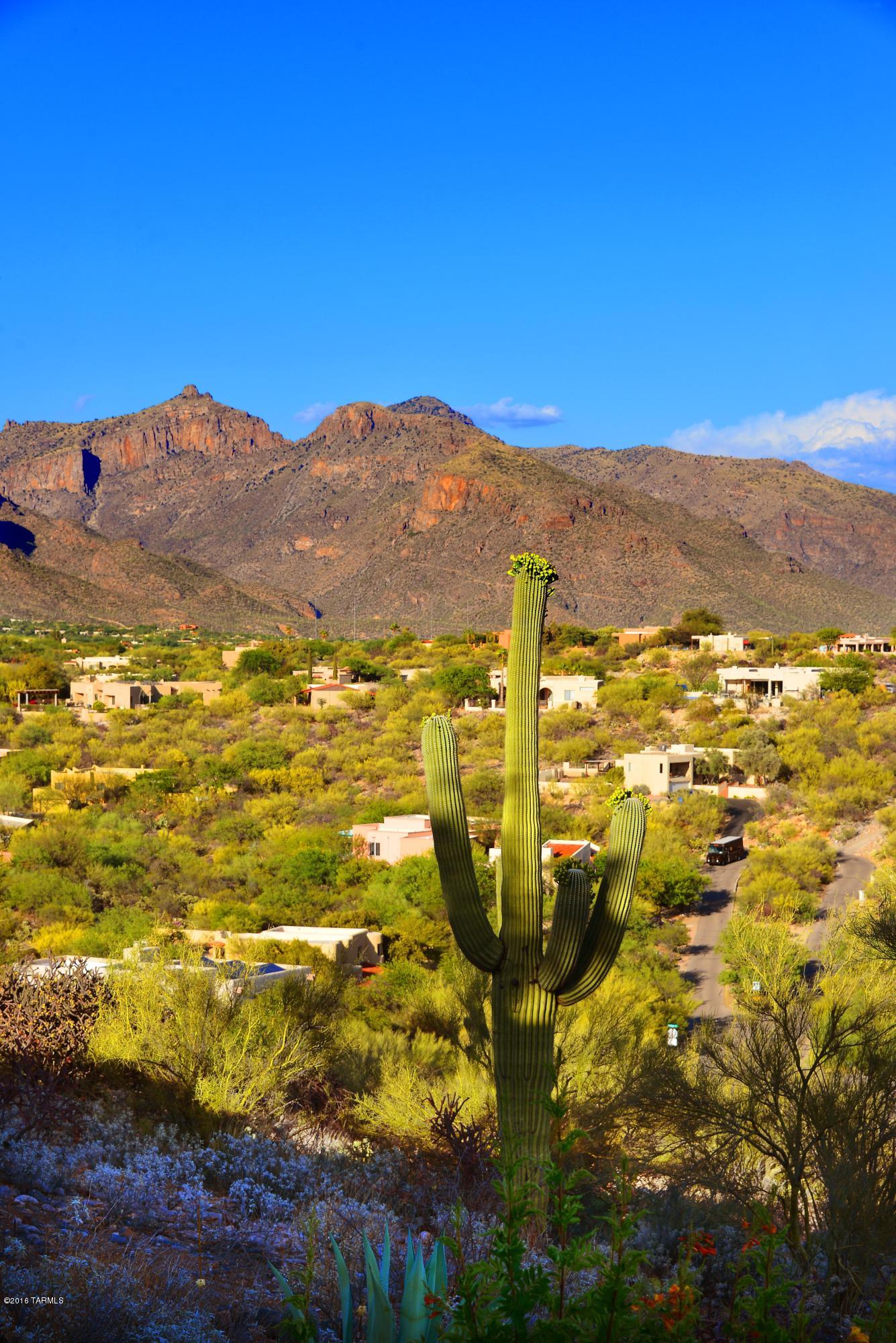 6110 E Paseo Cimarron