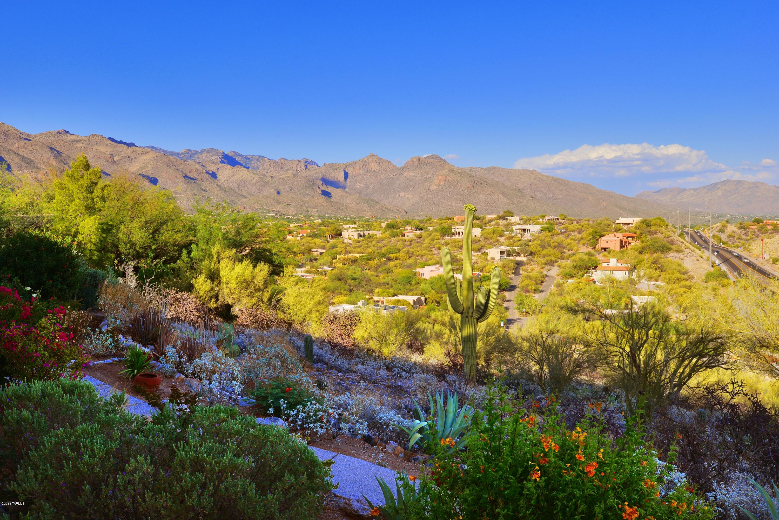 6110 E Paseo Cimarron