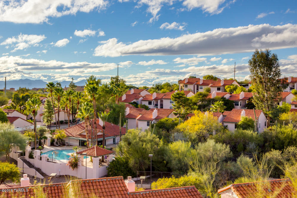 3210 E Calle De La Punta Unit: 8