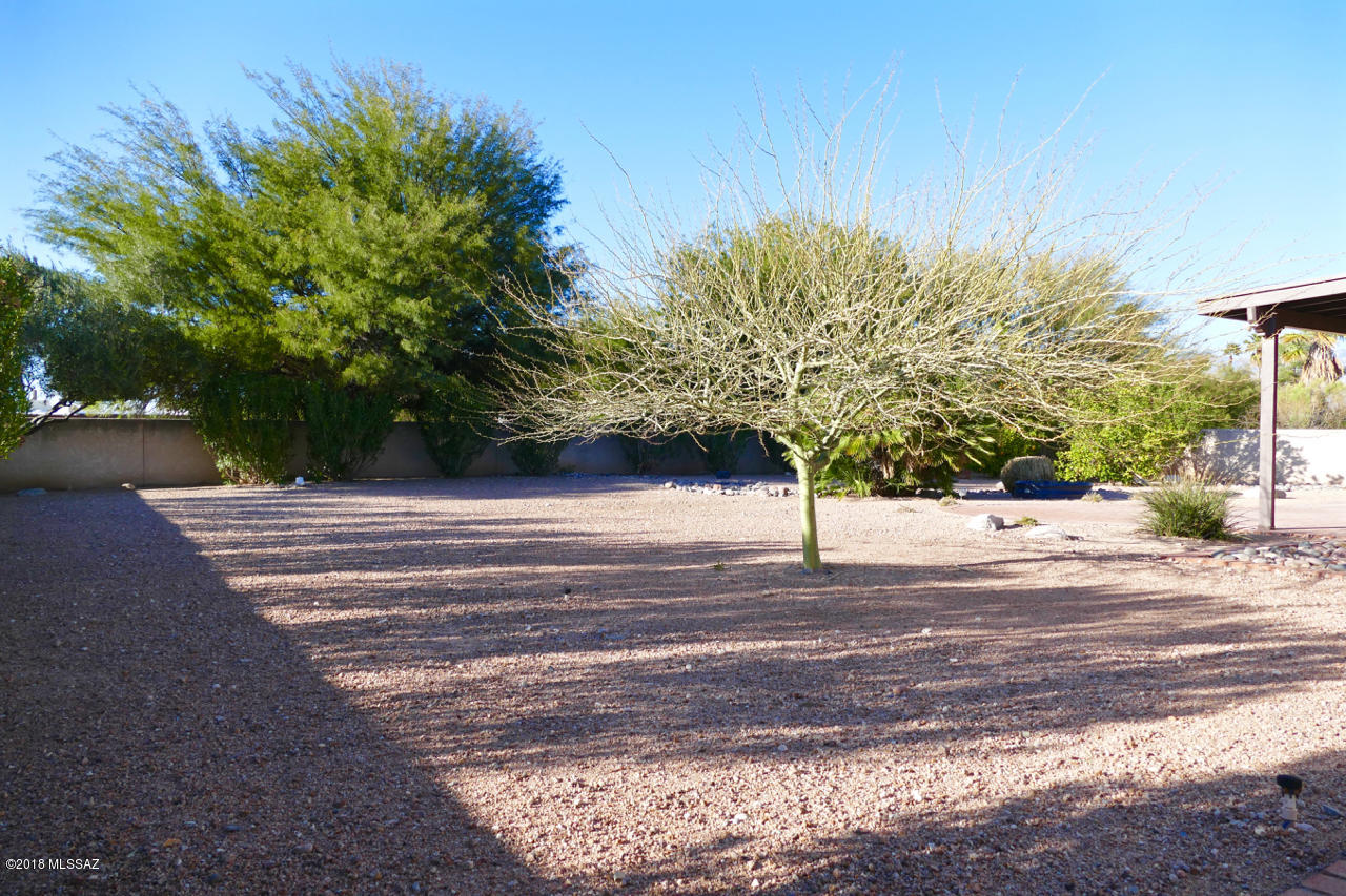 6985 E Calle Cavalier