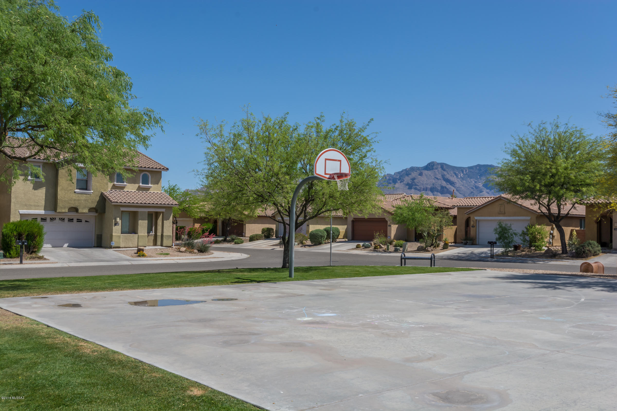 1618 W Green Thicket Way