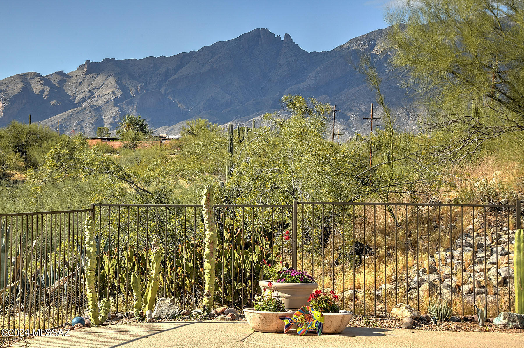 4389 E Desert Oak Trail