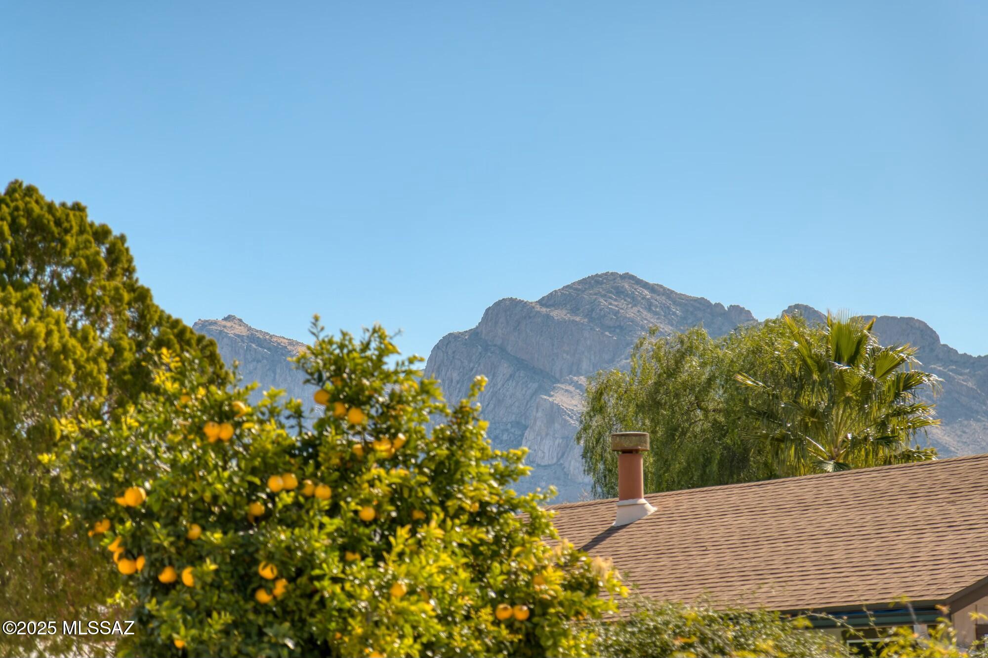 1517 W Oak Shadows Drive