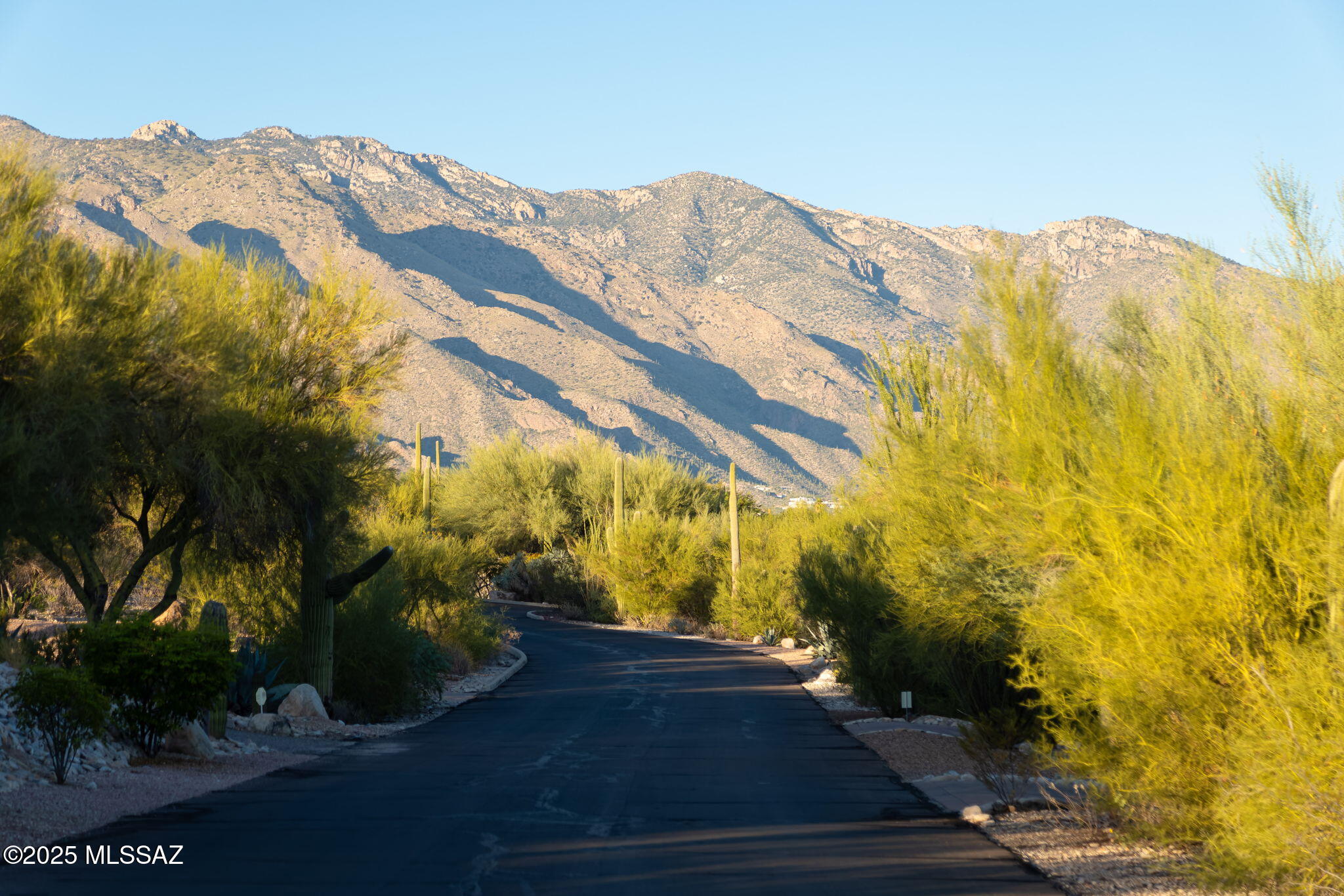 4880 N Avenida De Vizcaya Unit: 3