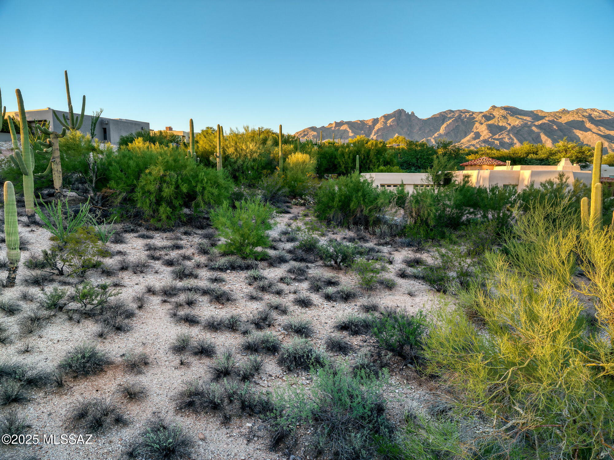 4880 N Avenida De Vizcaya Unit: 3