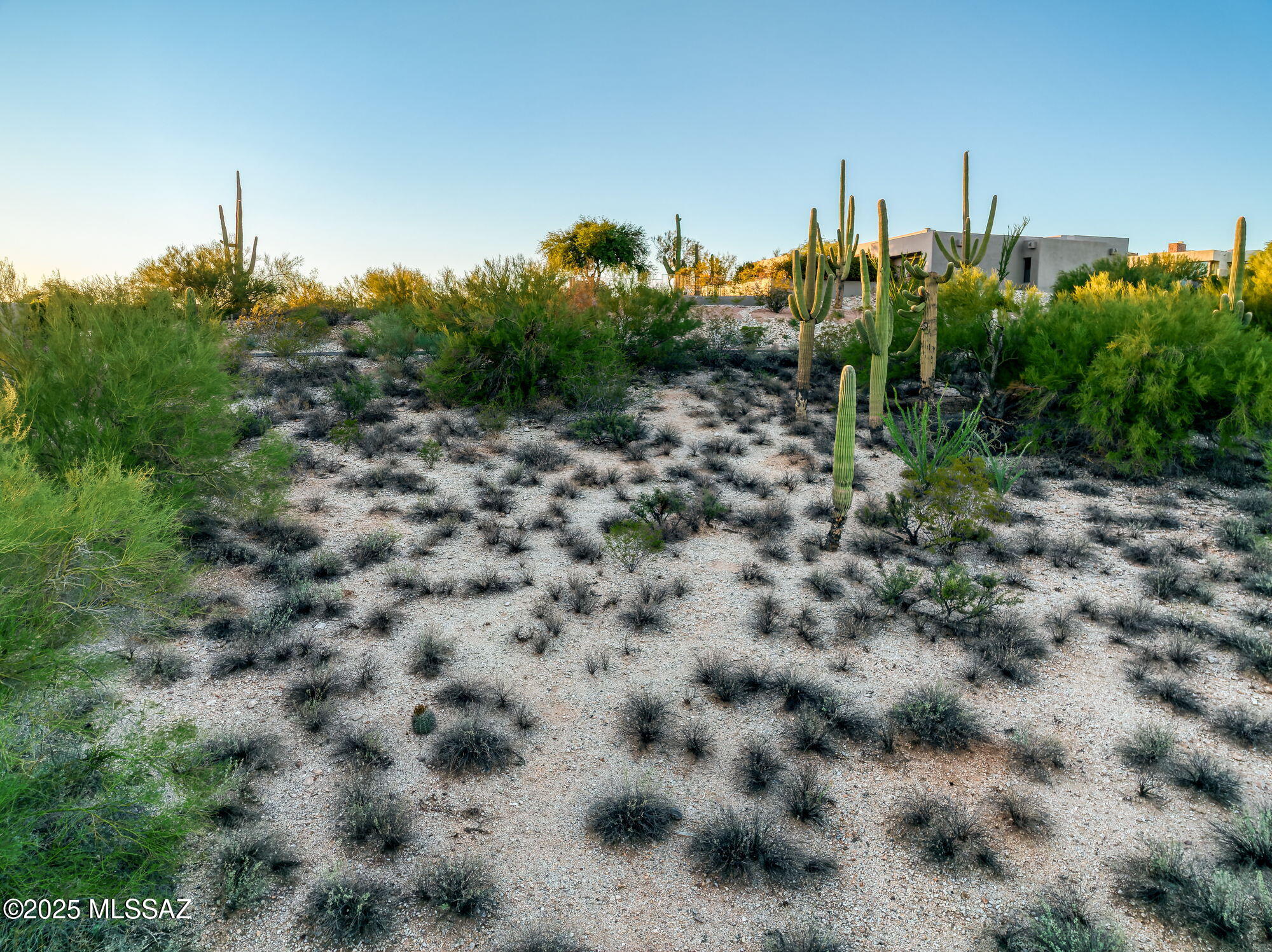 4880 N Avenida De Vizcaya Unit: 3