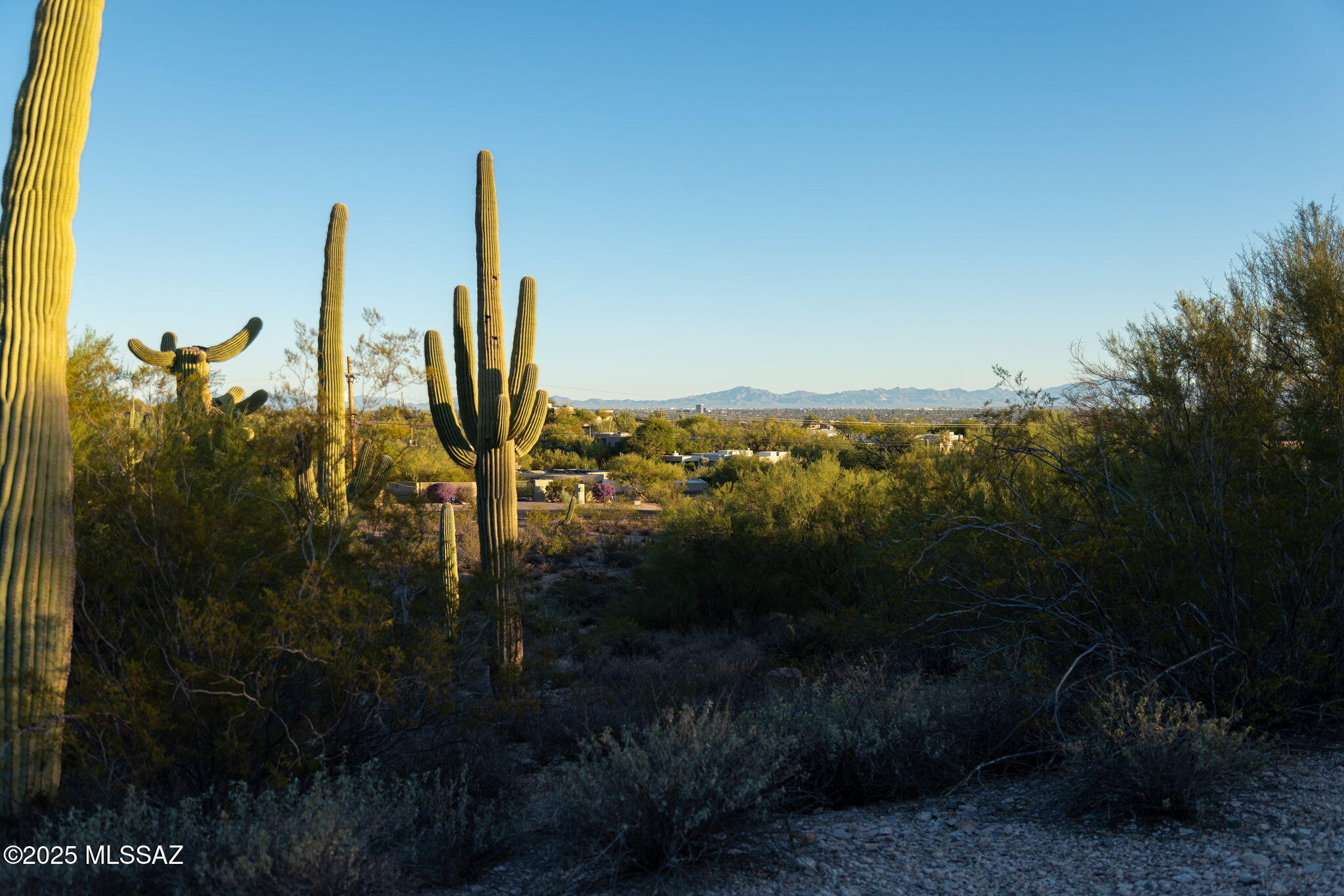 4880 N Avenida De Vizcaya Unit: 3