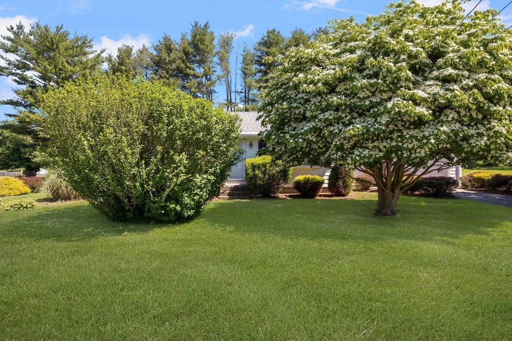112 Jean Drive