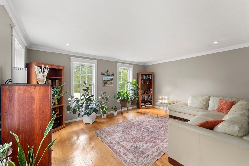 3 Tammer Lane
