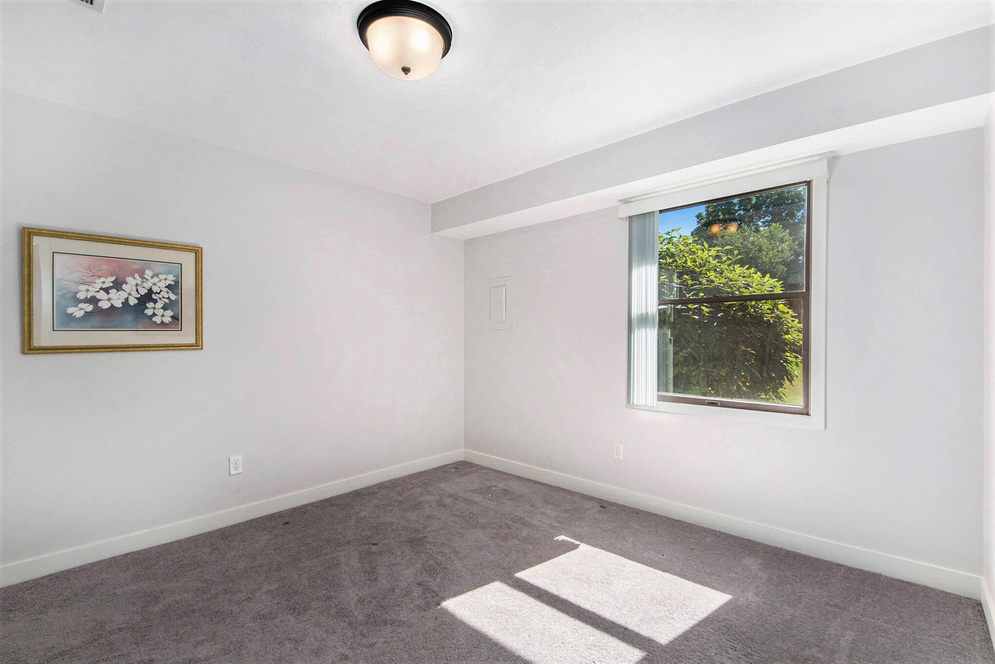 6934 Springtree Lane SW Unit: 6