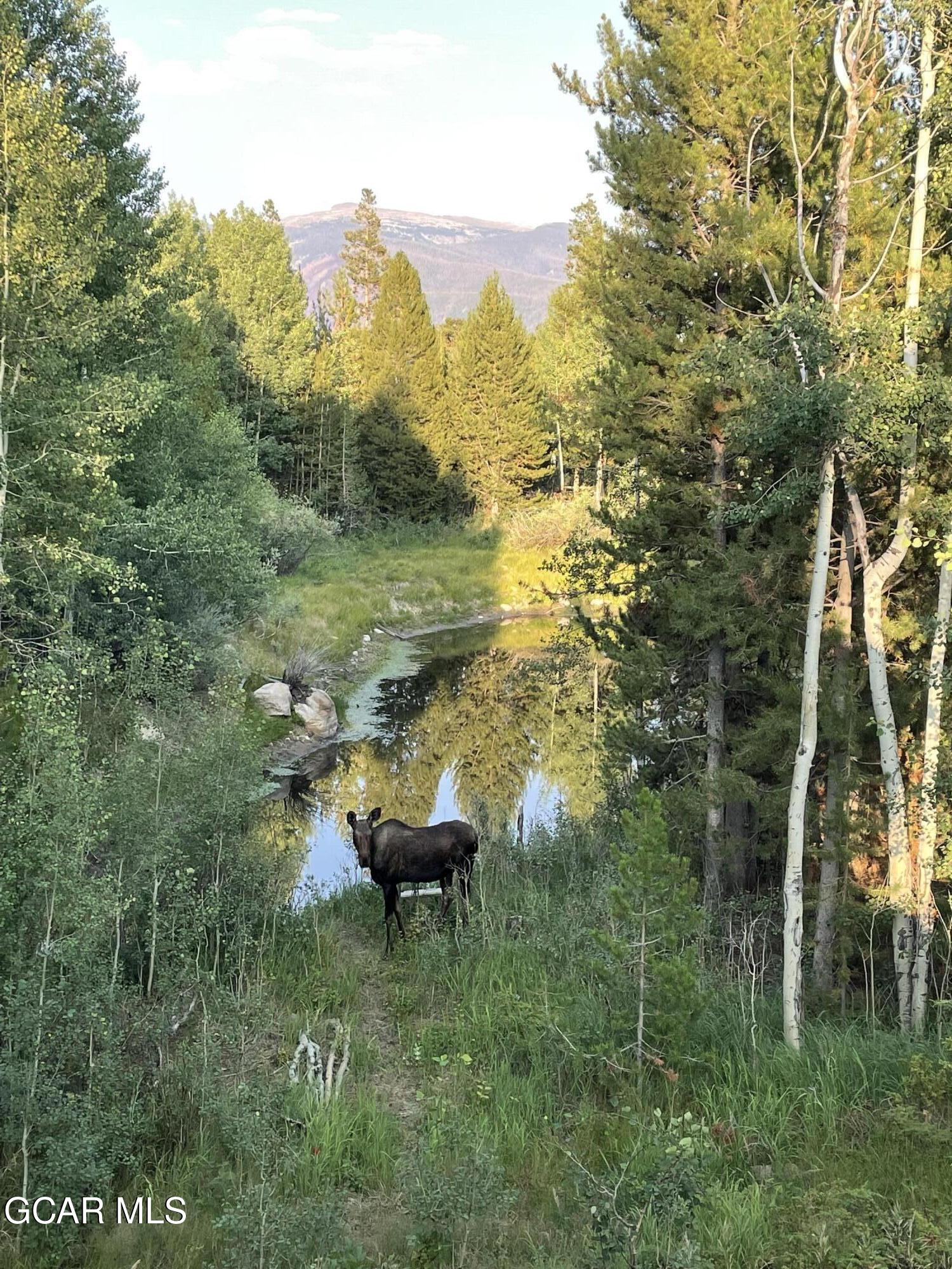 241 Kinnikinnick Road