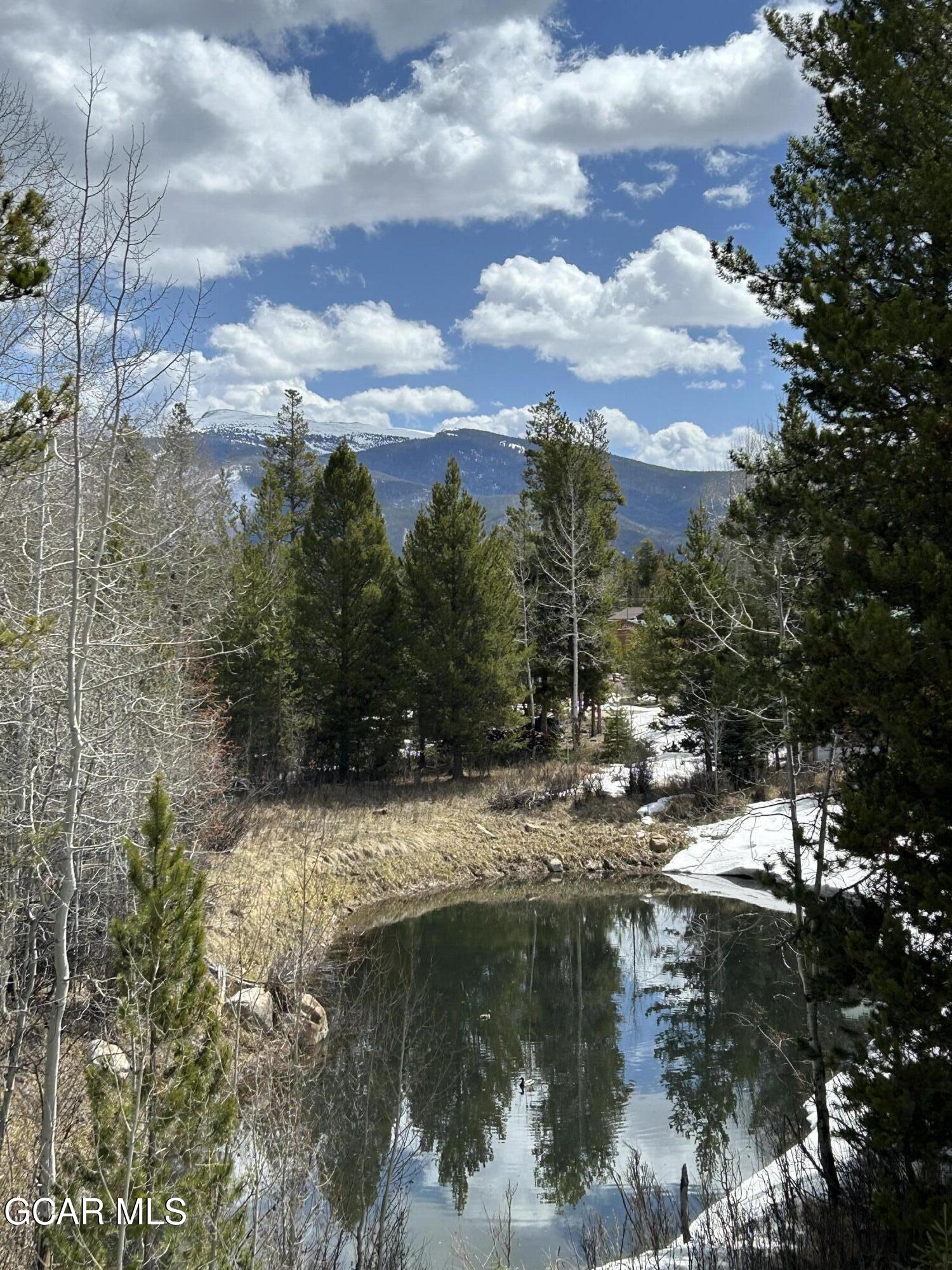 241 Kinnikinnick Road