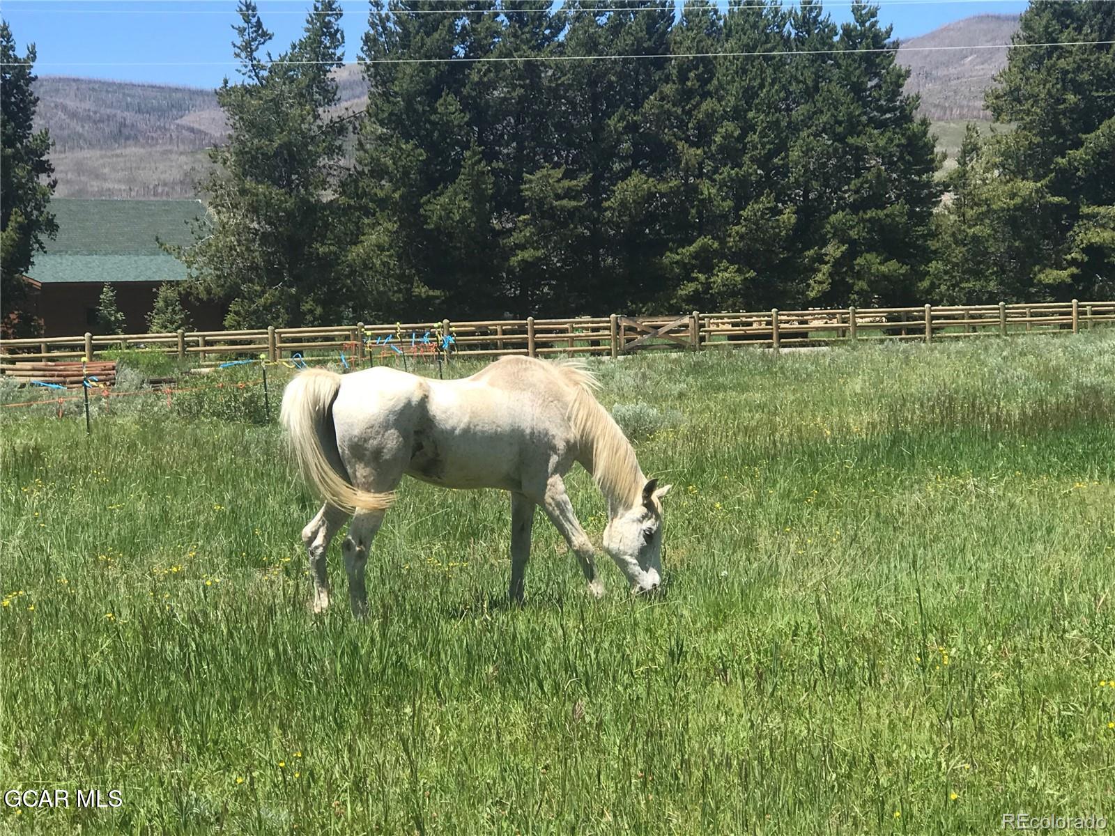 241 Kinnikinnick Road