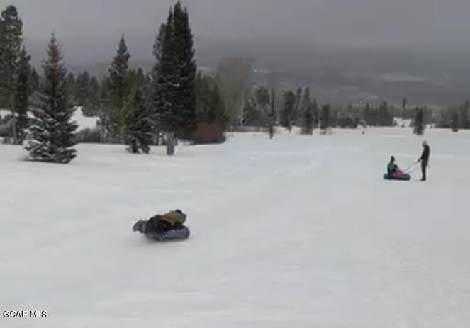 241 Kinnikinnick Road