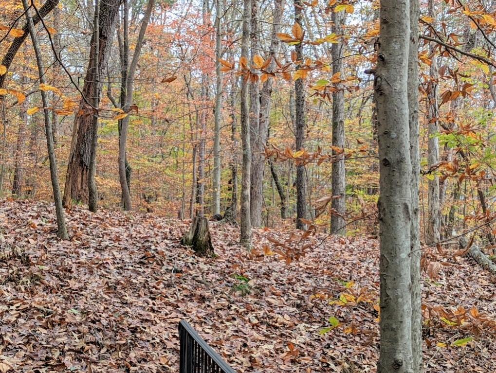 10635 N Edgewater Place