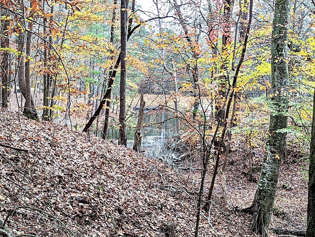 10635 N Edgewater Place