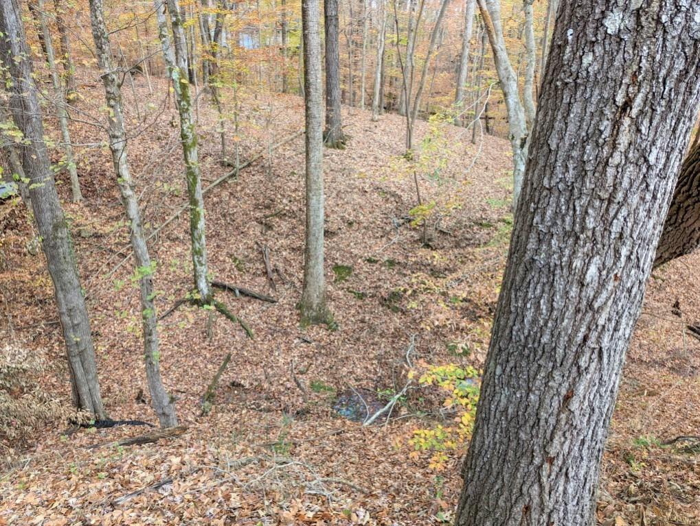 10635 N Edgewater Place