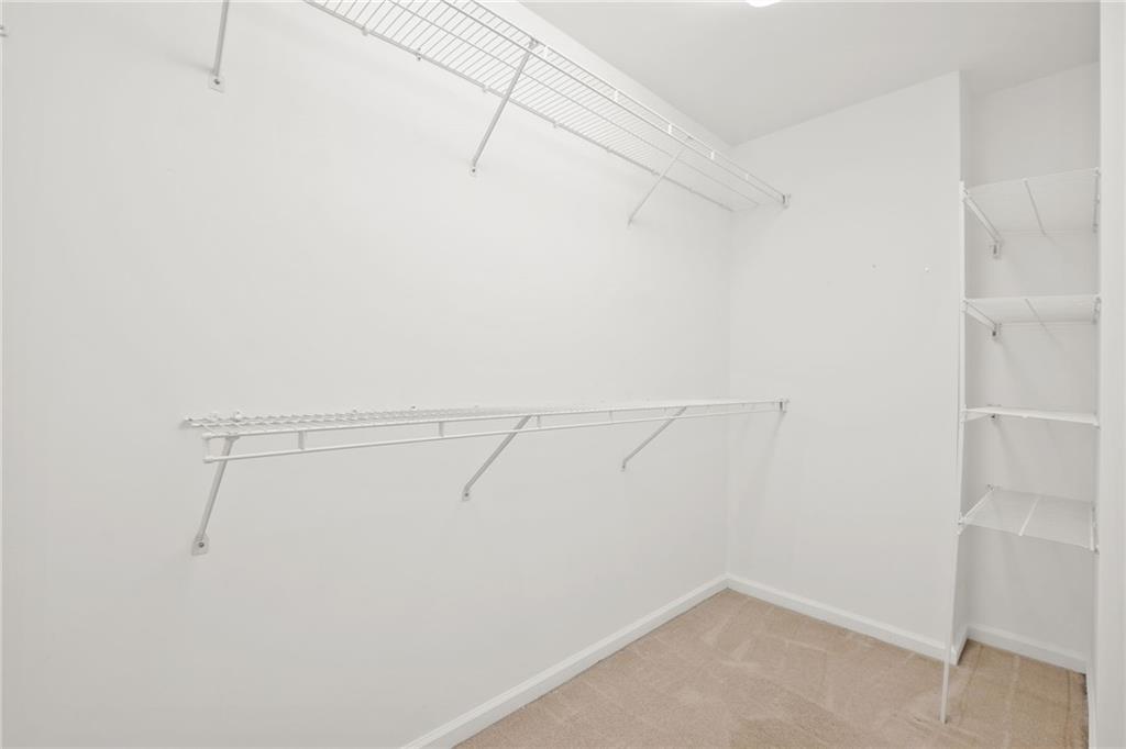 555 Rose Border Drive