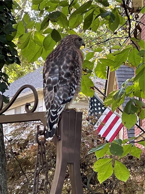 1966 Wenlok Trail NE