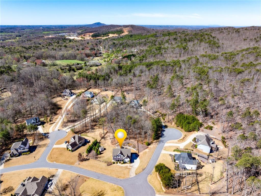 6055 Climbing Rose Way