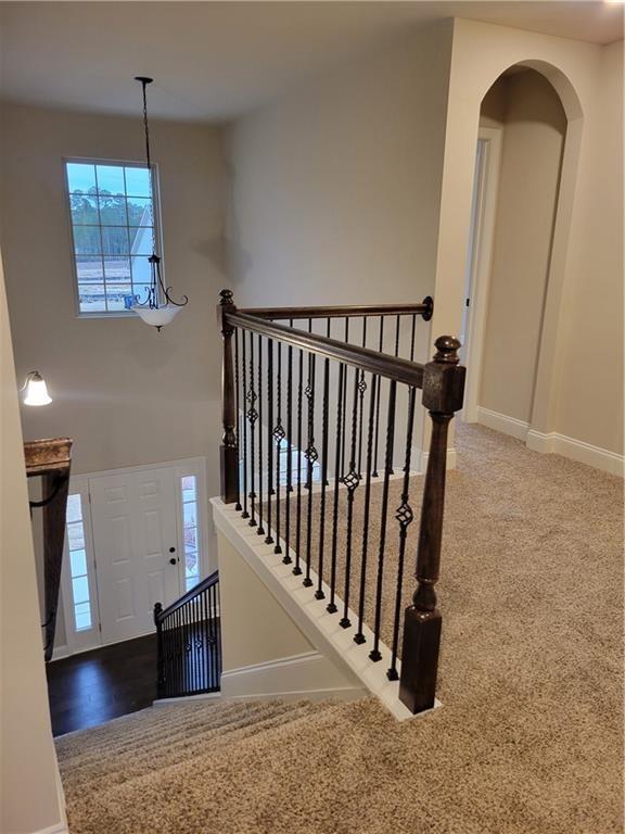 3818 Southfield Court