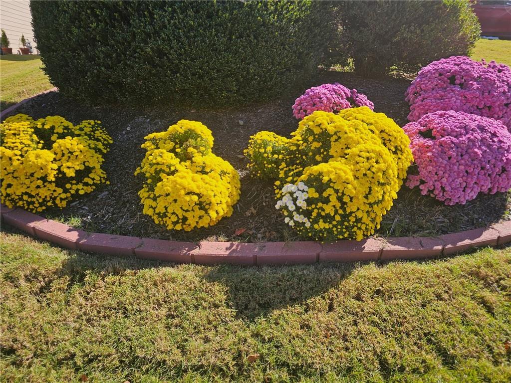 3657 Clearbrooke Court