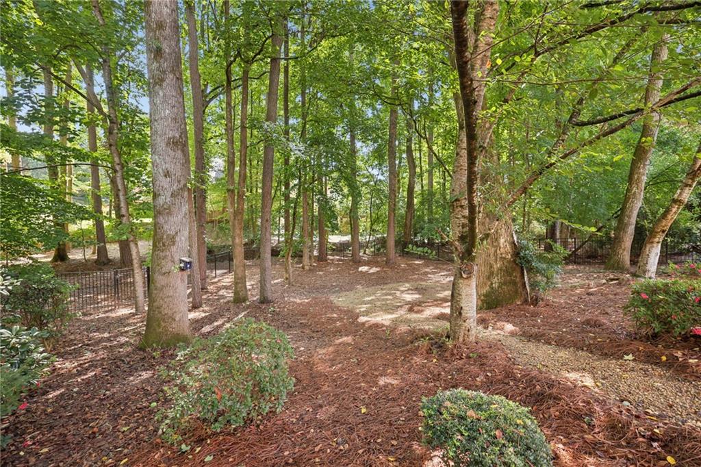 12135 Helleri Hollow