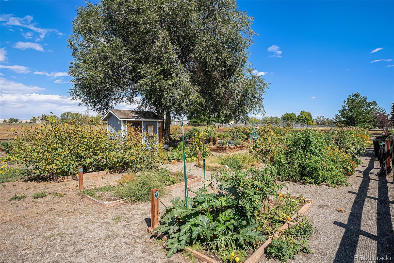 11301 Navajo Circle Unit: B