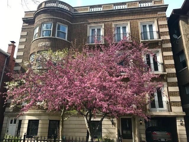 710 W Junior Terrace Unit: 2