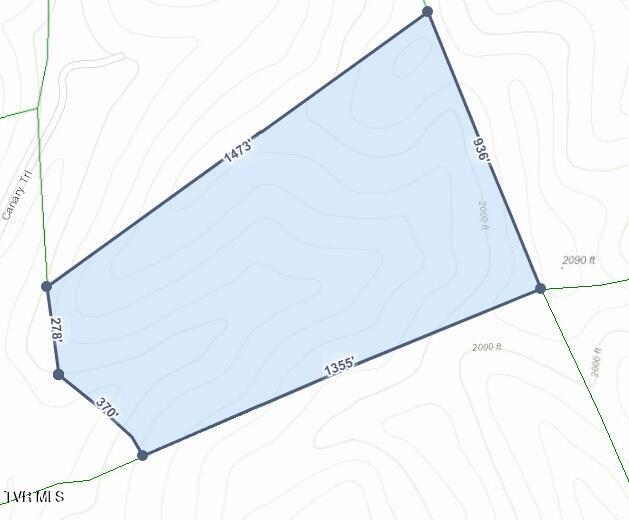 Tbd Canary Trail
