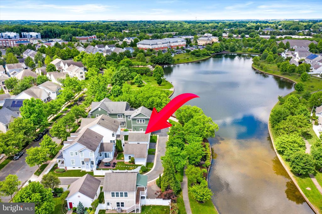 1133 Lake