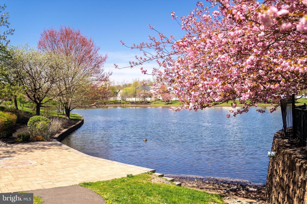 1133 Lake