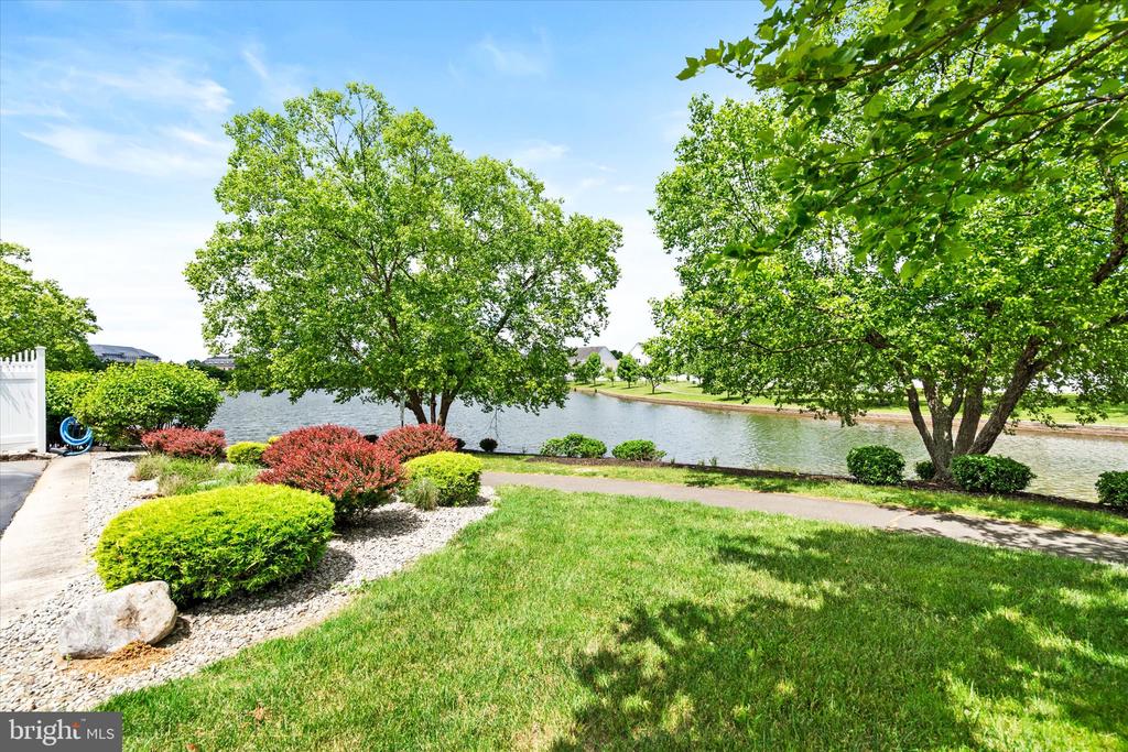 1133 Lake