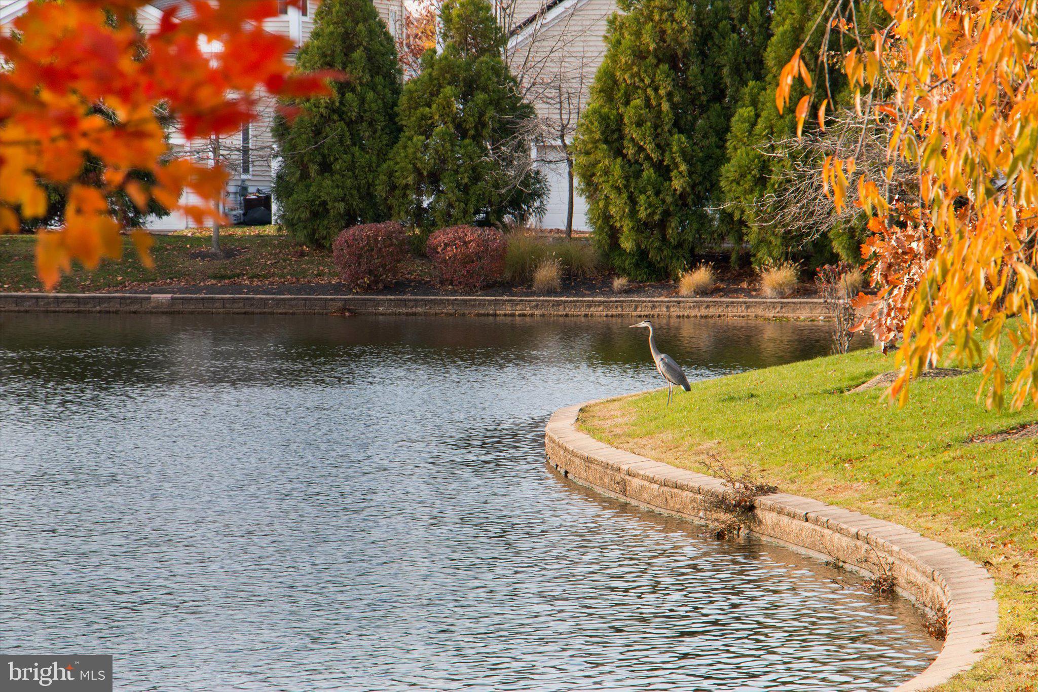 1133 Lake