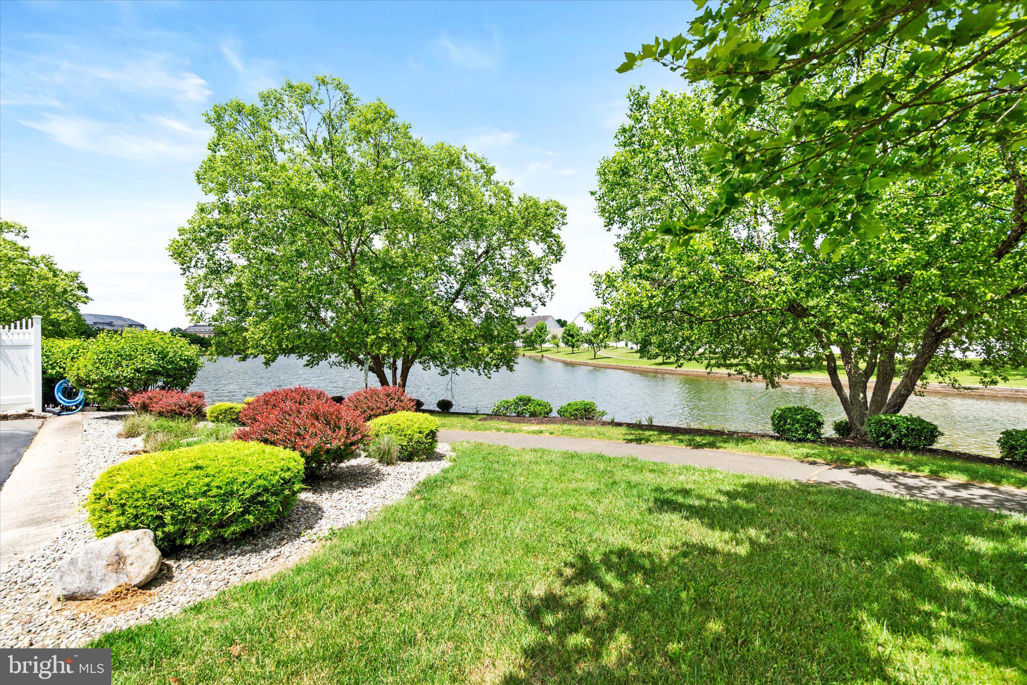 1133 Lake