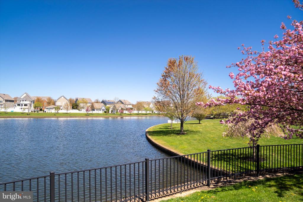 1133 Lake