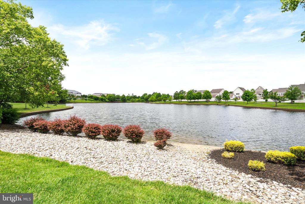 1133 Lake