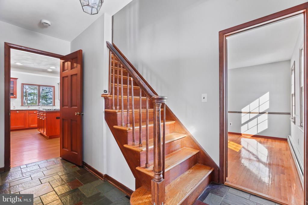 50 Mountain View